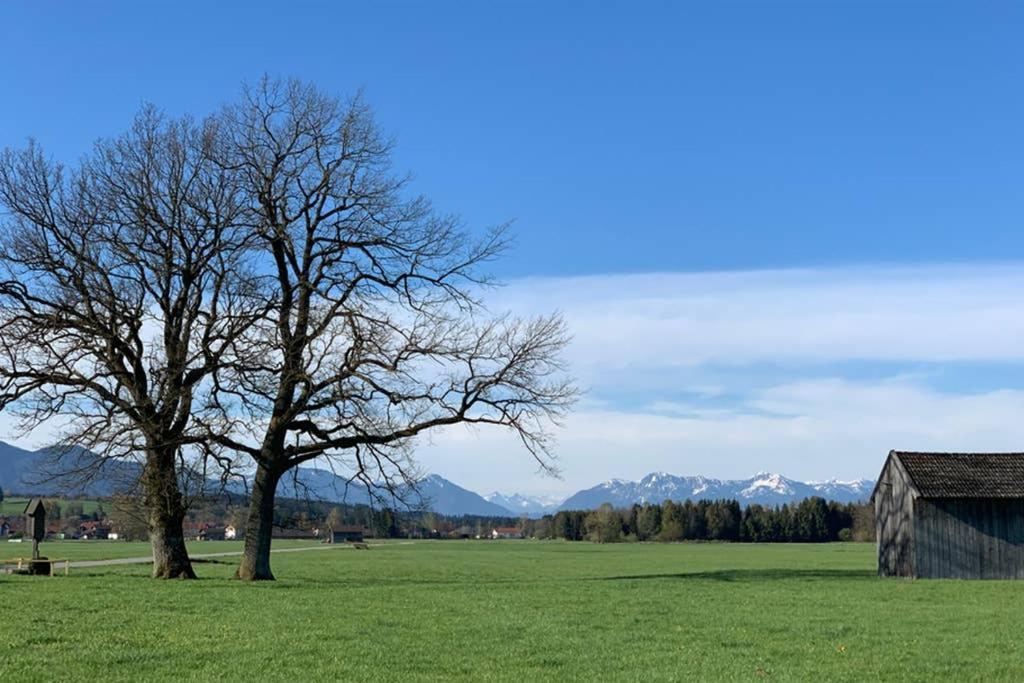 Ferienhaus Koenigsdorf - Urlaub Im Toelzer Land Konigsdorf Zewnętrze zdjęcie
